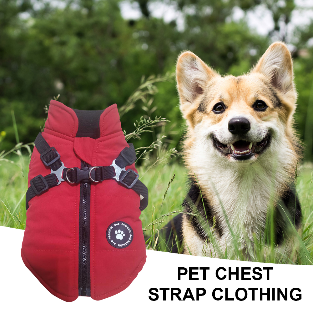 

Pet Dog Clothes Warm Vest with Harness Outdoor Zip Coat Jacket Outfit Gifts, Style 3, 501 Original