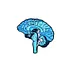 Cerebro Pensador Feliz