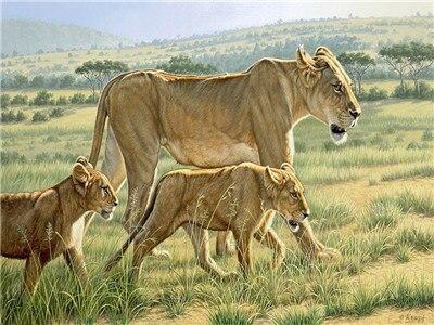

Lions in Hunting Lesson – Paint By Numbers - 40*50CM, 501 Original