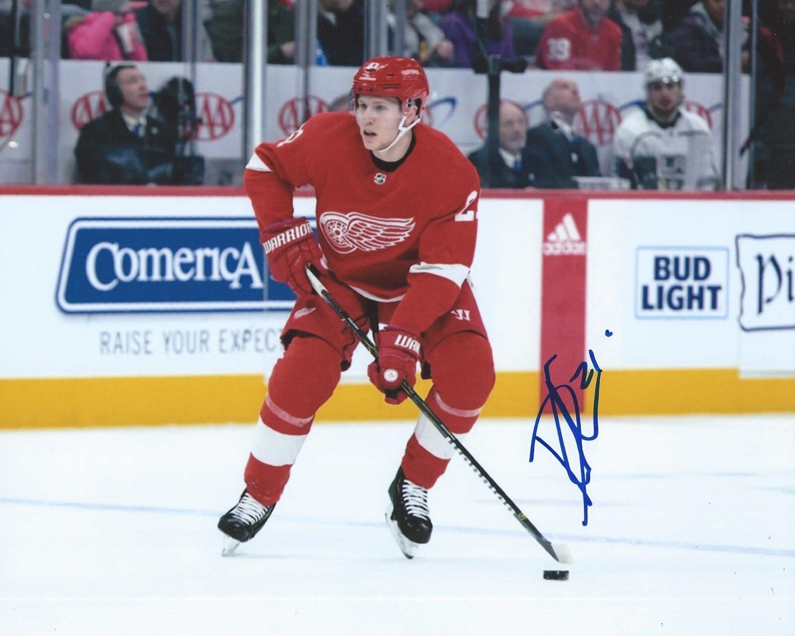 Dennis Cholowski Signed 8x10 Photo Poster painting Detroit Red Wings Autographed COA