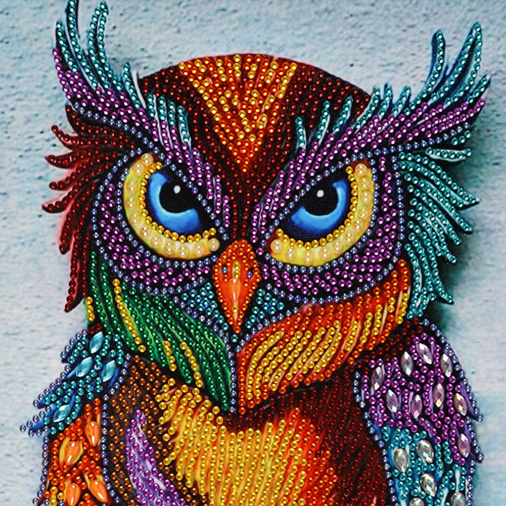 Diamond Painting -diy Crystal Rhinestone Owl