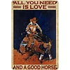 Cowboy - Metal Tin Signs(8*12Inch)