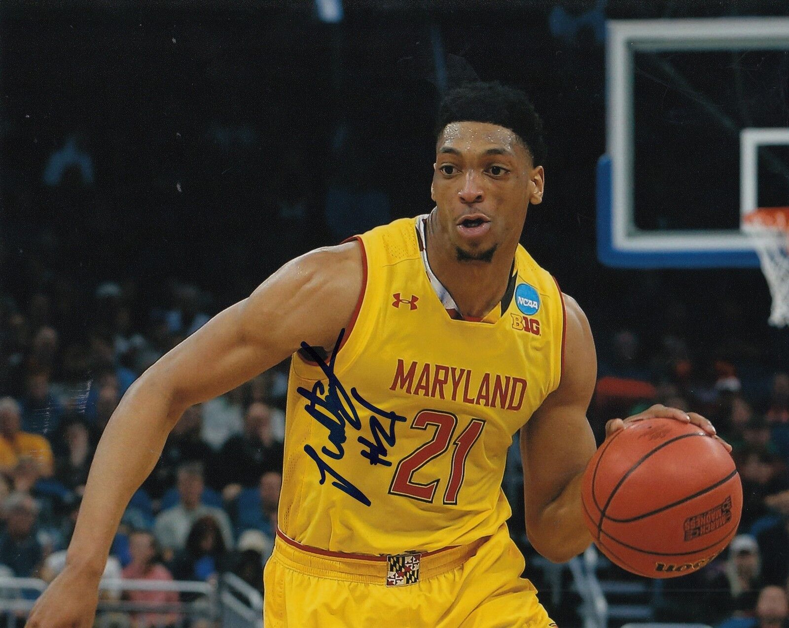 JUSTIN JACKSON signed (MARYLAND TERRAPINS) basketball *TERPS 8X10 Photo Poster painting W/COA #3