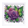 5D DIY Partial Special Shaped Drill Diamond Painting Kit Butterfly Decor With Frame Kit 18x18cm