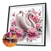 Swan-Full Round Diamond Painting 30*30CM