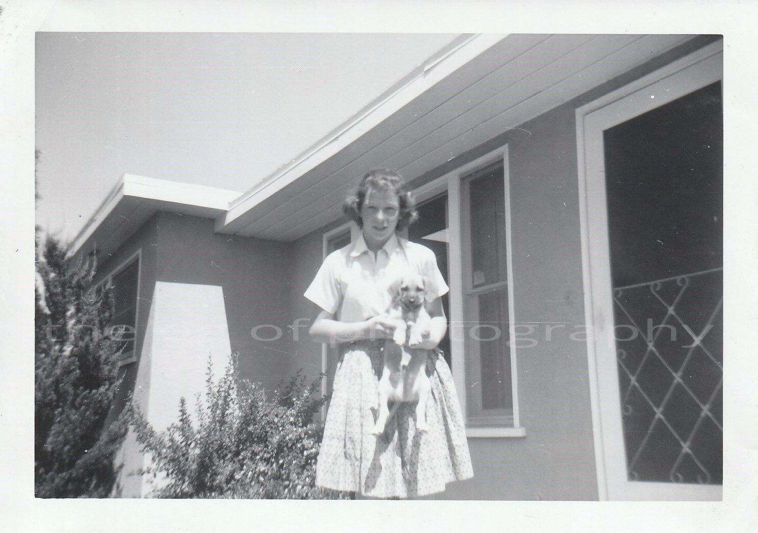 A GIRL + HER DOG Vintage FOUND Photo Poster painting bwOriginal Snapshot 83 15