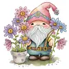 Gnome-Partial Special Shaped Diamond Painting 30*30CM