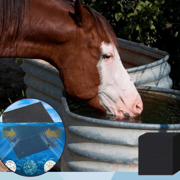 Extra Water Purifier Cube