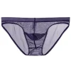 Low Waist Mesh Ultra-thin Transparent Sexy Briefs
