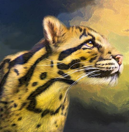 

Ocelot – Paint By Numbers - 40*50CM, 501 Original