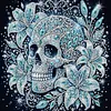 Partial Drill 5D Diamond Painting Kit Skull Abstract 30x30cm(Lily Skull)