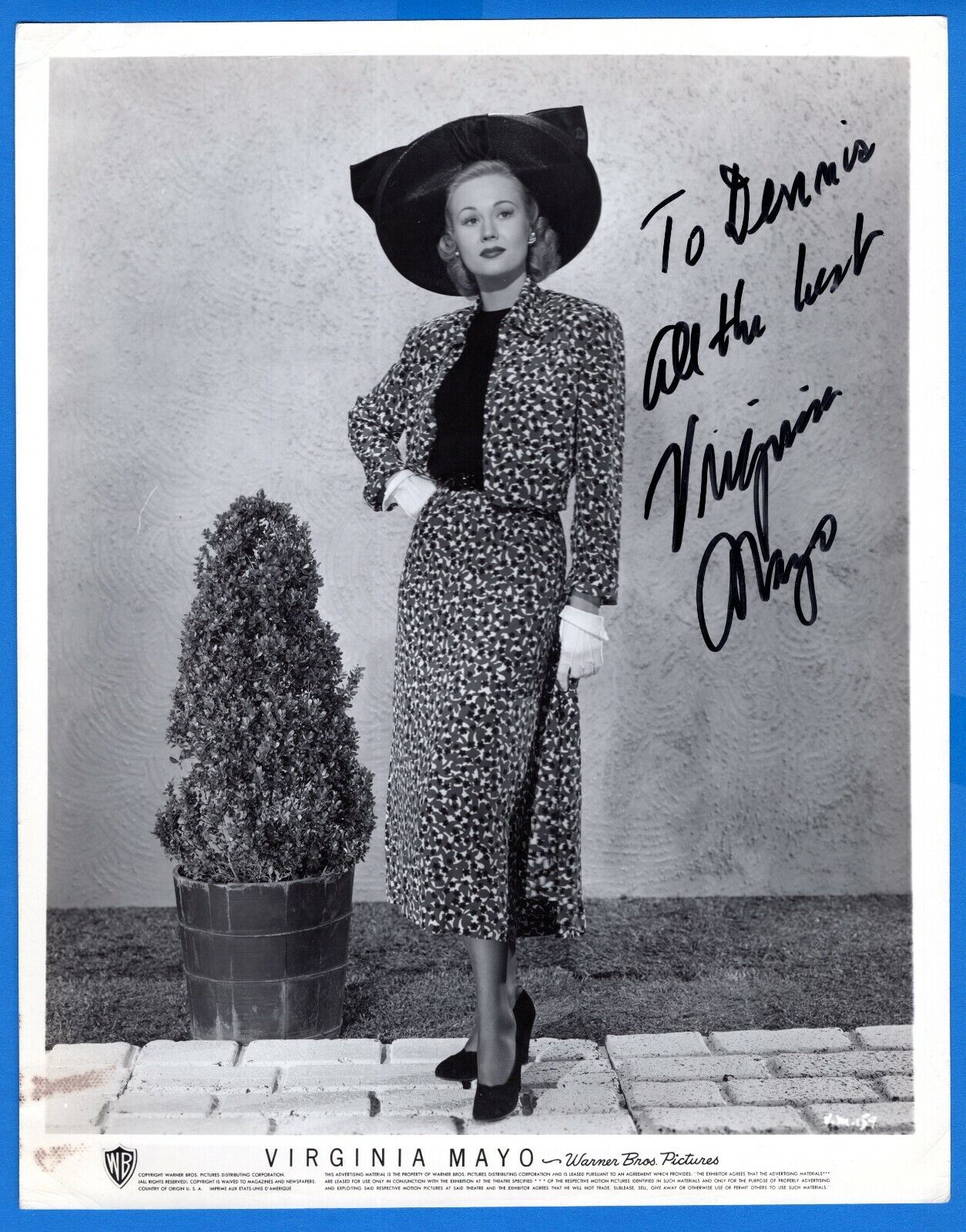 Virginia Mayo Actress Hand Signed Autograph 8x10 Photo Poster painting