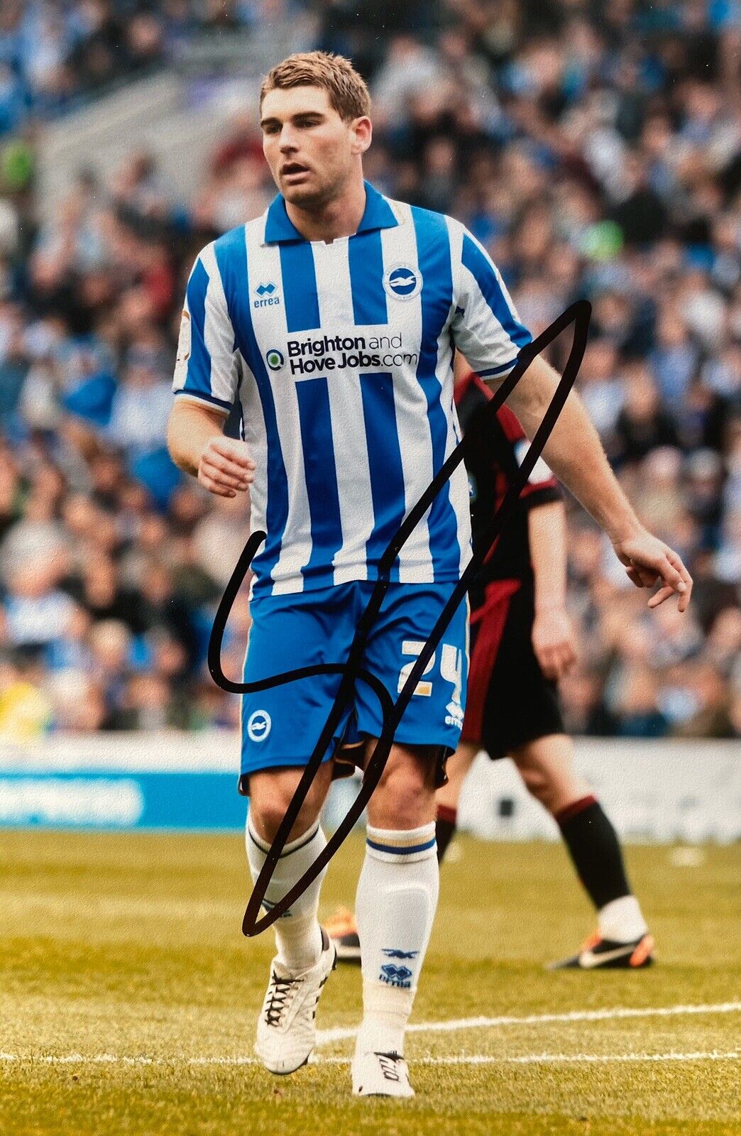 Sam Vokes Hand Signed 6X4 Photo Poster painting - Brighton & Hove Albion 2