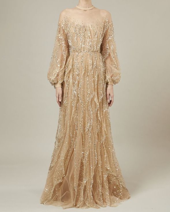 Elegant Sequined Mesh Embroidered Gown