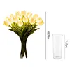 Twinkling Tree Tulips