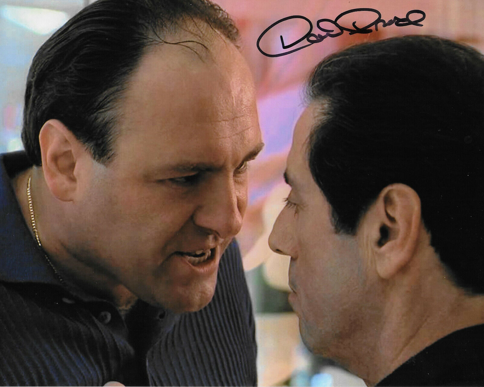 David Proval The Sopranos Original Autographed 8X10 Photo Poster painting #2