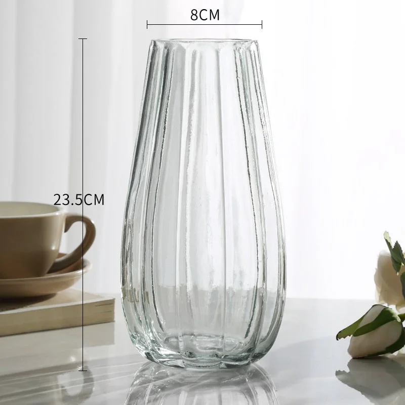 Modern Glass Vase Transparent Vase Decoration Household Terrarium Decor Living Room Decoration Table Decoration Accessories