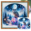 Owl On Gemstone Under Moonlit Night-Full Embroidery 3 Strands 11CT Stamped Cross Stitch-40*40CM