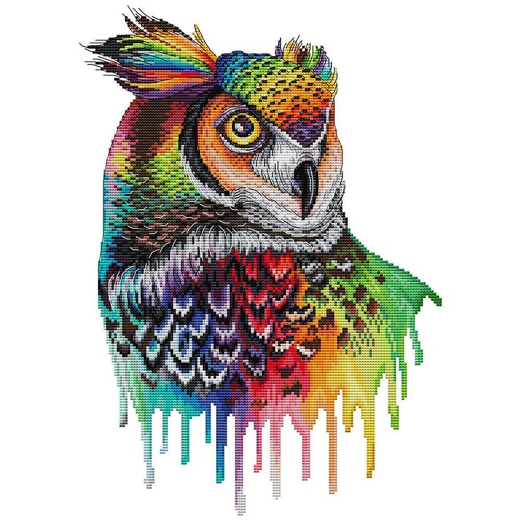 Rainbow Owl - 14CT 2 Strands Threads Printed Cross Stitch Kit - 43x32cm(Canvas)