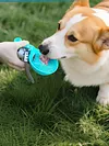 2-In-1 Dog Water Bottle with Silicone Bowl No-Spill Stainless Steel Portable 285ml Dog Water Bottle Ideal for Walking Hiking & Travel