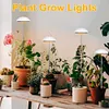 Full Spectrum Grow Lights Height Adjustable Plant Growing Lamp for Indoor Plants