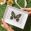 12pcs Butterfly 5D DIY Square Drill Diamond Painting Kits for Adults Beginners Home Decor Diamonds Paintings Gem Art 5.91x7.09in