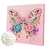 Flower Butterfly Art Diamond Painting Kit for Adults Home Decor 25x25cm With Frame