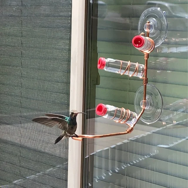 Geometric Window Hummingbird Feeder