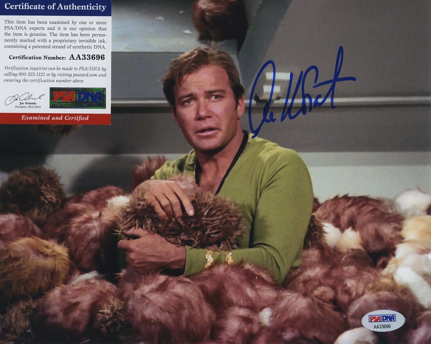 WILLIAM SHATNER STAR TREK SIGNED AUTOGRAPHED COLOR 8X10 Photo Poster painting PSA DNA AA33696