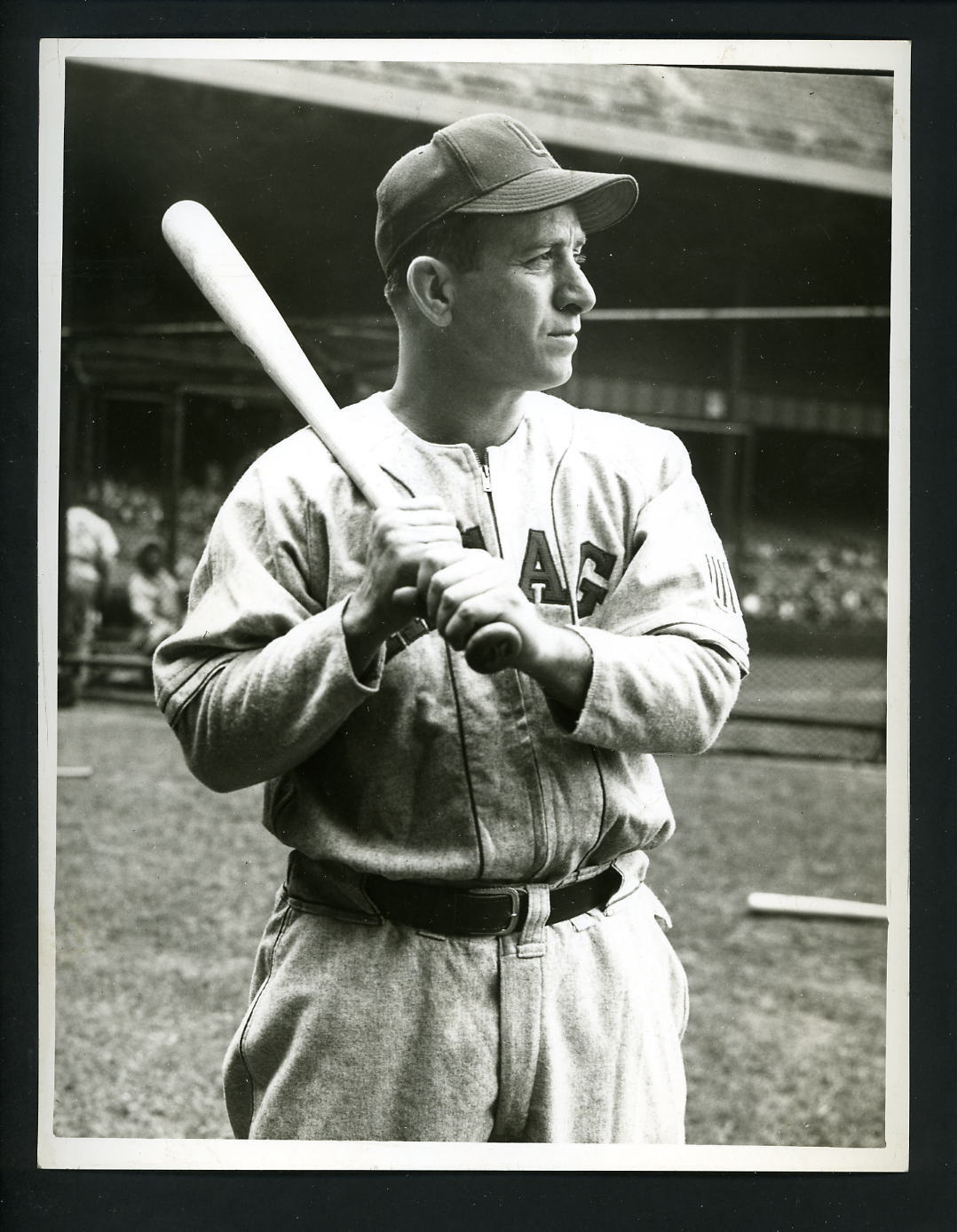 Tony Cuccinello circa 1943 Press Wire Original Photo Poster painting Chicago White Sox