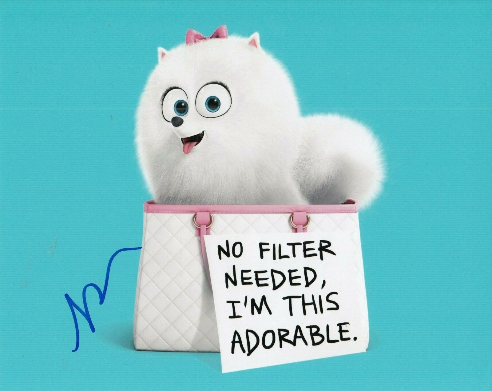 JENNY SLATE signed (THE SECRET LIFE OF PETS) Movie 8X10 Photo Poster painting *Gidget* W/COA #3