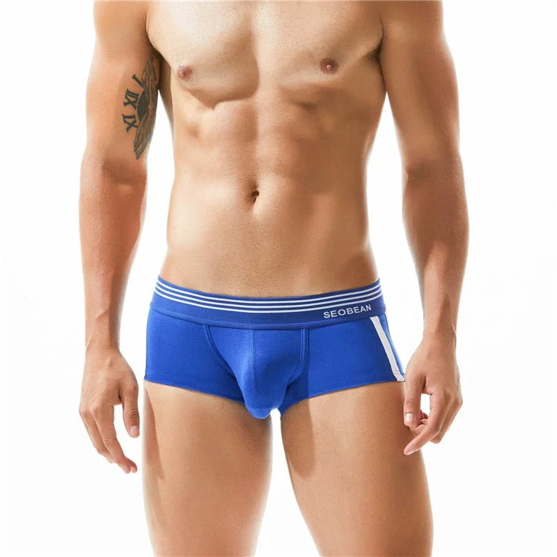 Aonga  Thanksgiving Day Gifts Brand Male Underwear Breathable Cotton Boxer Men Panties U Convex Pouch  Underpants Low Waist Boxers Shorts Homme