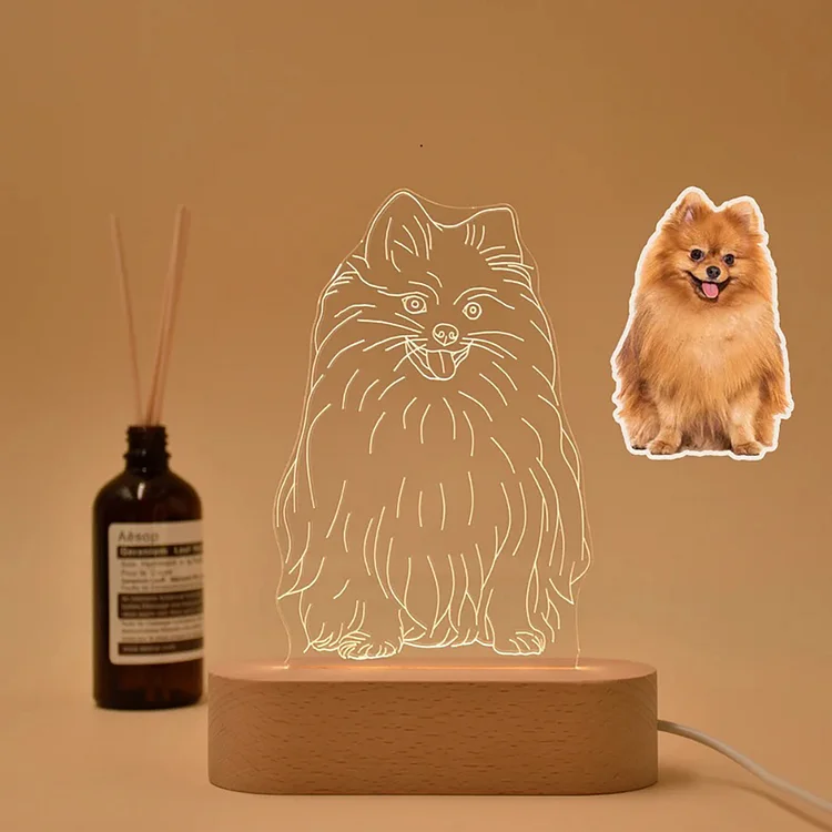 Custom 3D Pet Photo Acrylic Wooden Base Night Lights