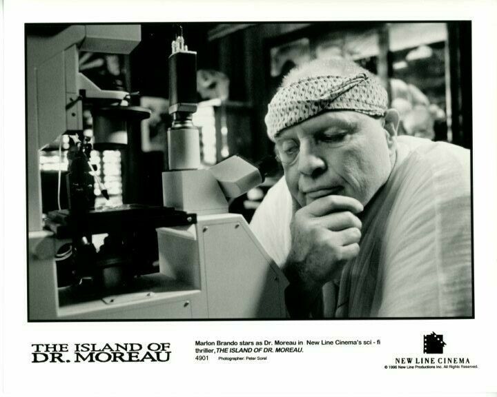 Marlon Brando The Island of Dr. Moreau 1996 Original 8x10 Press Photo Poster painting