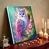Framed Diamond Painting - Special Shaped - Pink Owl (25x25cm)