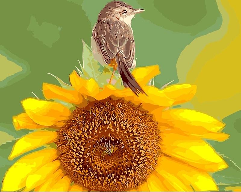 

Sunflower And Bird – Paint By Numbers - 40*50CM, 501 Original