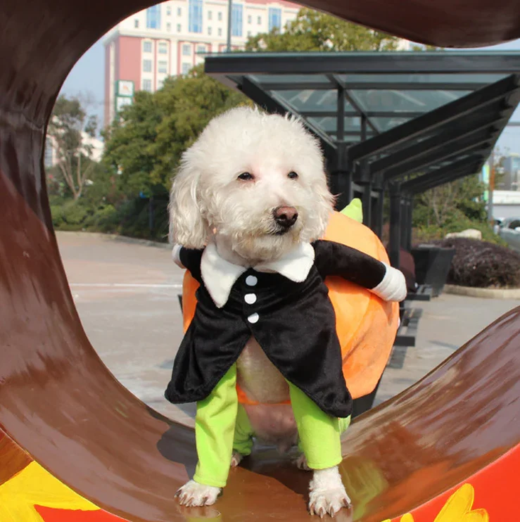 【Buy two bree shipping) Dog Cat Pumpkin Halloween Costume