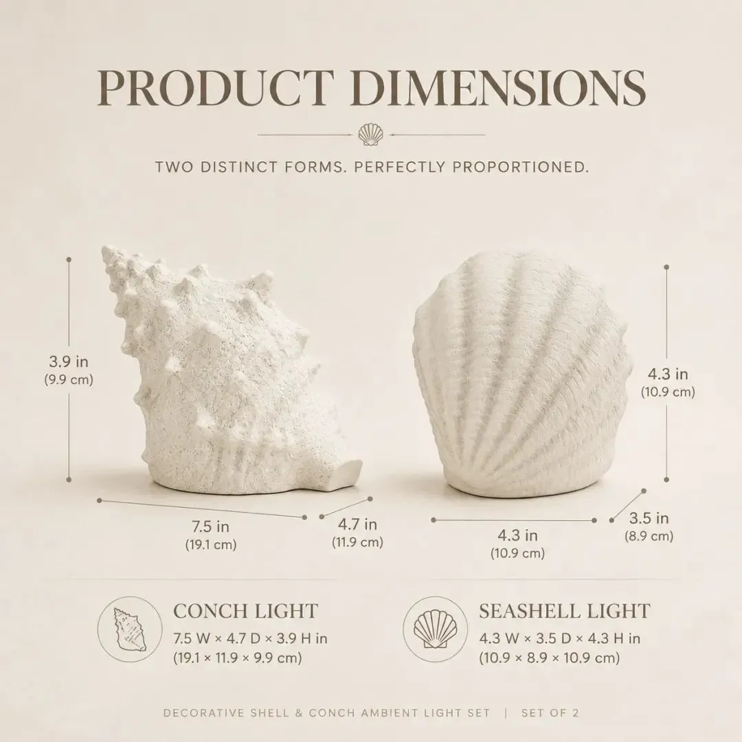 Coastal shell and conch light dimensions