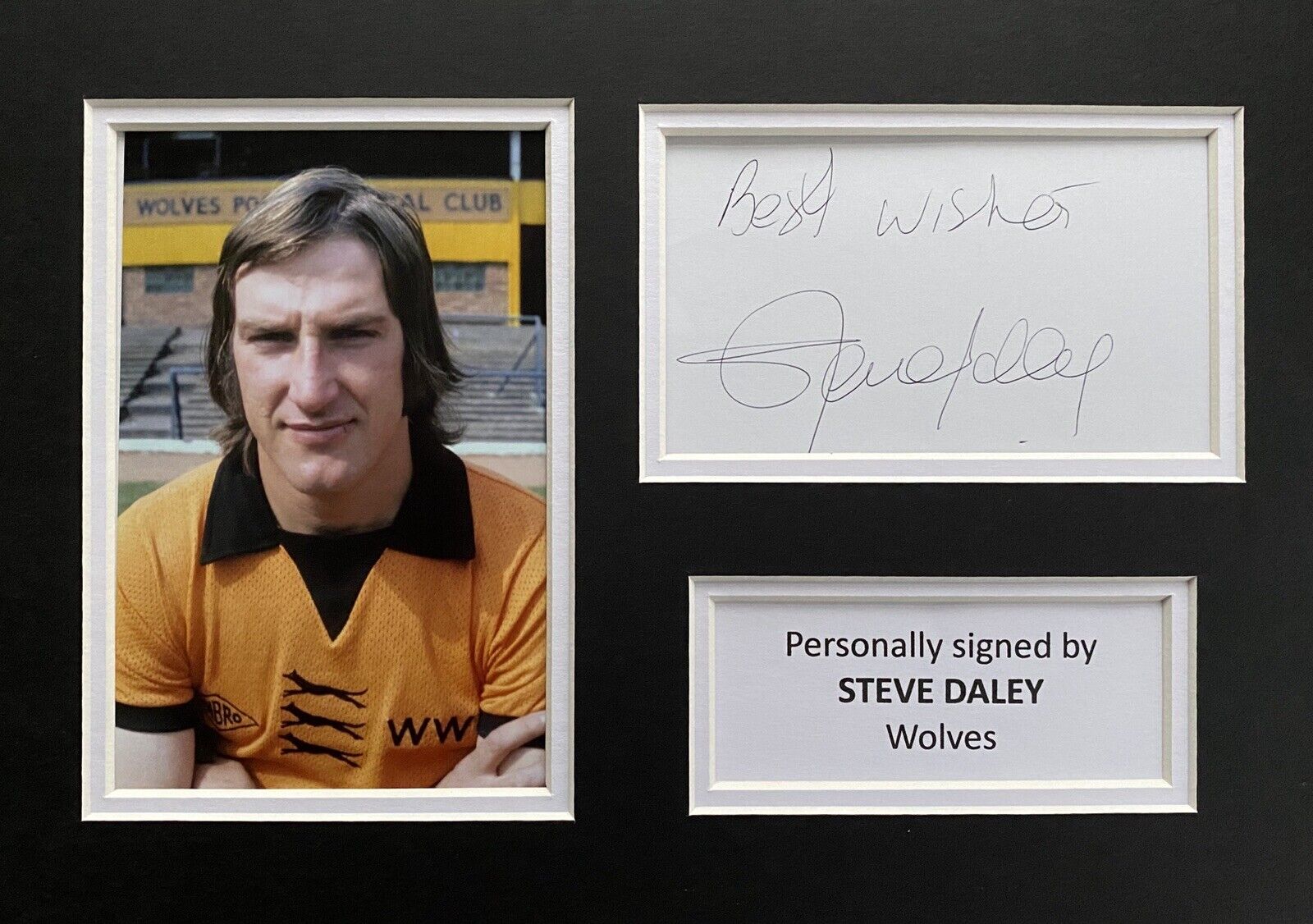 Steve Daley Hand Signed White Card In A4 Wolves Mount Display