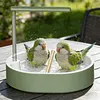 Automatic Parrot Bathtub with Circulating Shower System Parrot Bath Shower for African Grey Cockatiel Conure Budgie Lovebird