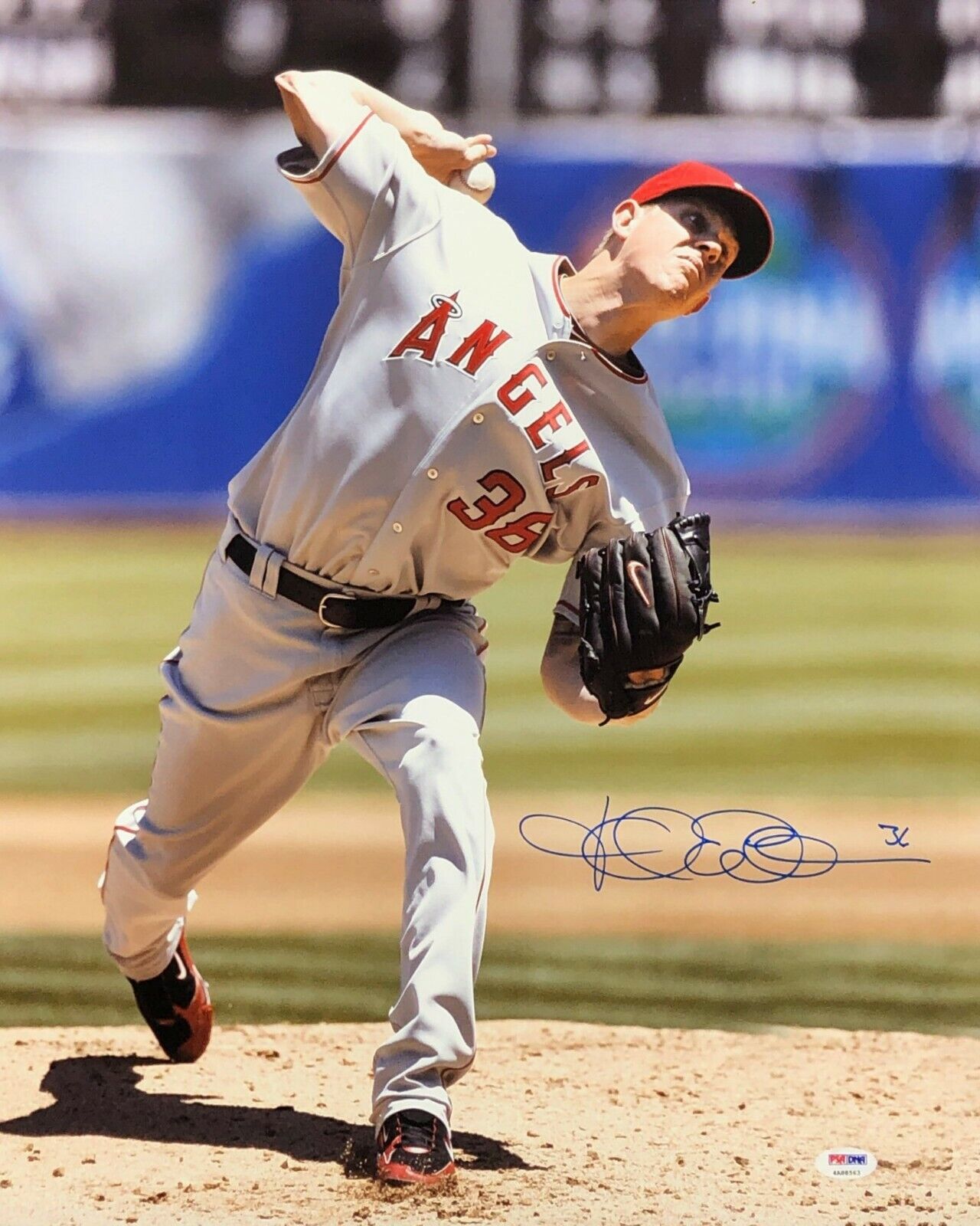 Jered Weaver Signed Los Angeles Angels of Anaheim 16x20 Photo Poster painting PSA 4A88563