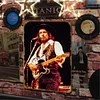 Waylon Jennings Musical - Vintage Metal Signs - 20*30cm/30*40cm - Music