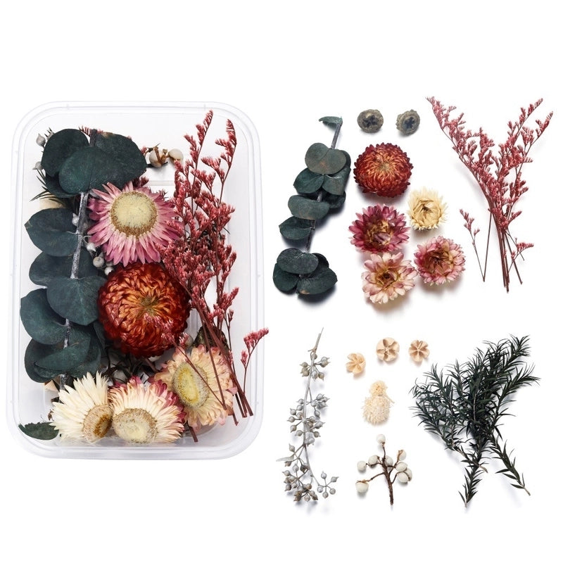 Flower Dried Flower Party Dried Flower