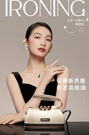 大宇小星斗手持挂烫机 熨烫机蒸汽电熨斗家用小型便携式烫衣服烫斗HI-036-Digicat 猫电澳洲