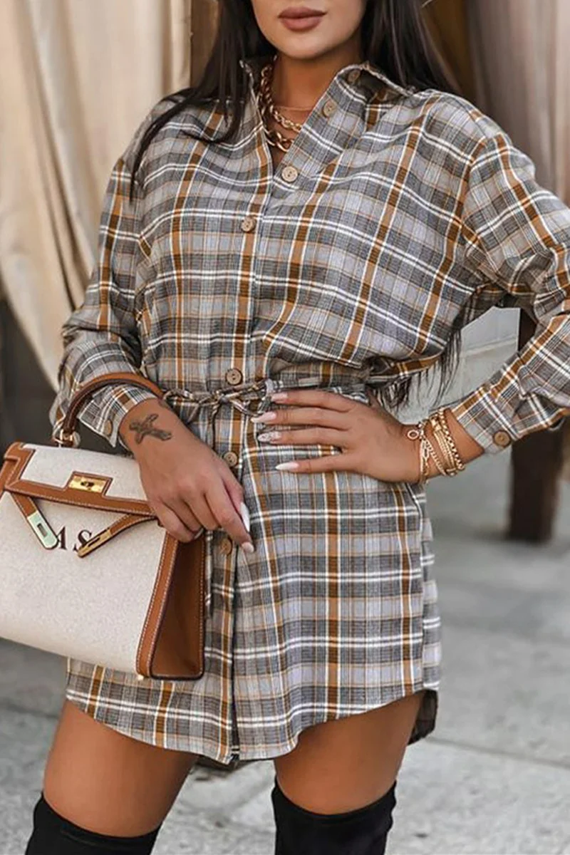 Colour Fashion Casual Plaid Print Basic Turndown Collar Shirt Dress