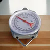 Fish Scales with 2 Hooks Mechanical Pointer Hook Scale Practical Handheld Scale