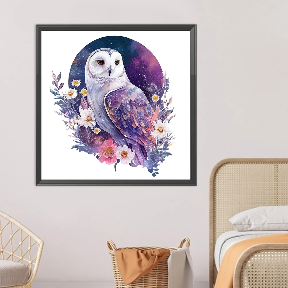DIY Paint By Number 40*40cm - Owl