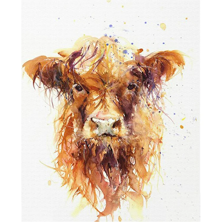 Cattle - Painting By Numbers - 40x50cm
