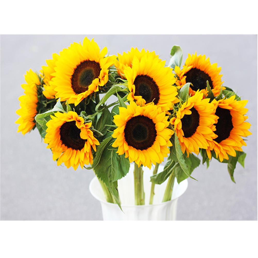 

40*30CM - Round Drill Diamond Painting - Sunflowers, 501 Original