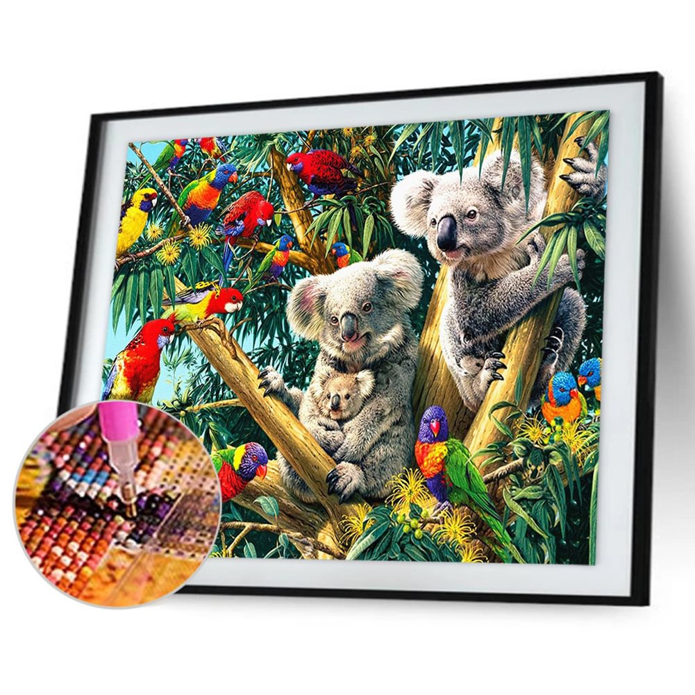 Parrot Koala 50*40cm(canvas) full square drill diamond painting